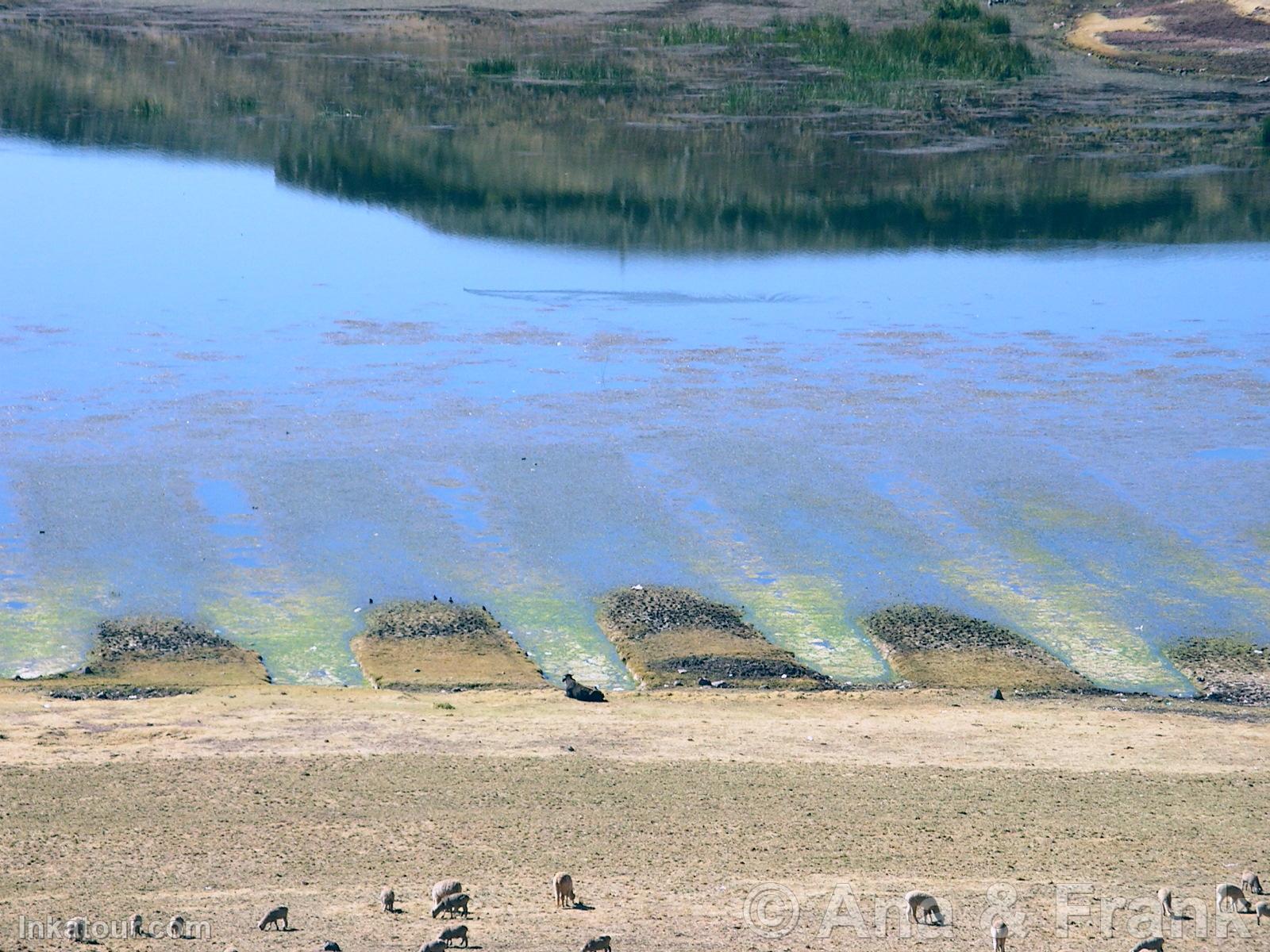 Photo of Peru