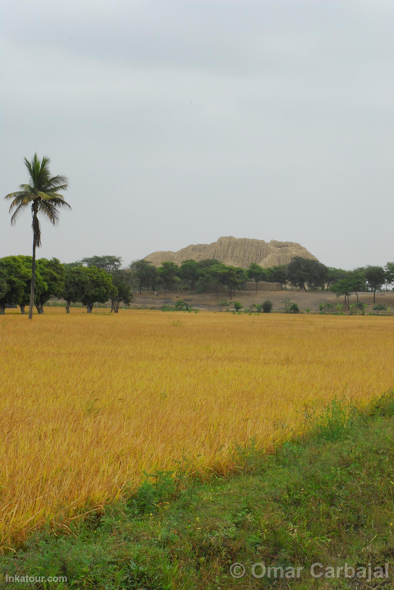 Valley of the Pyramids of Tcume