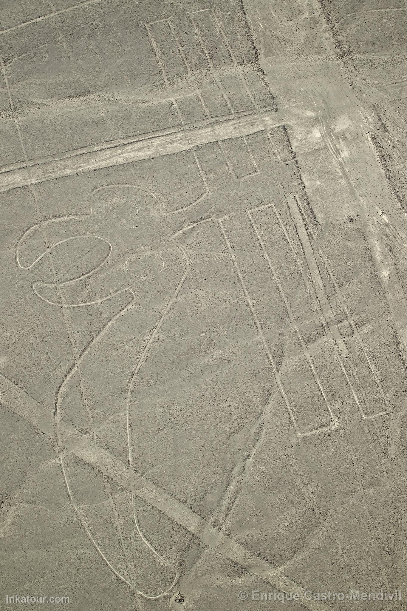 Nazca lines