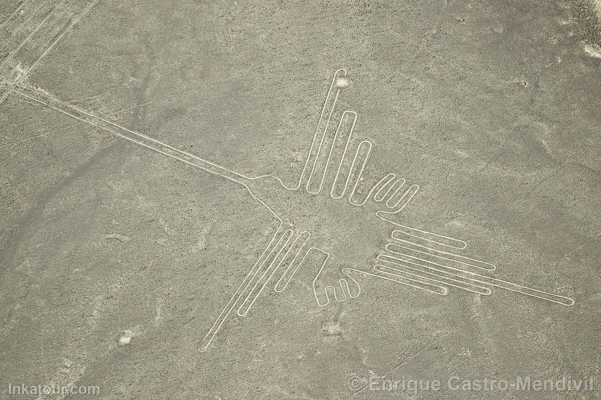 Nazca lines