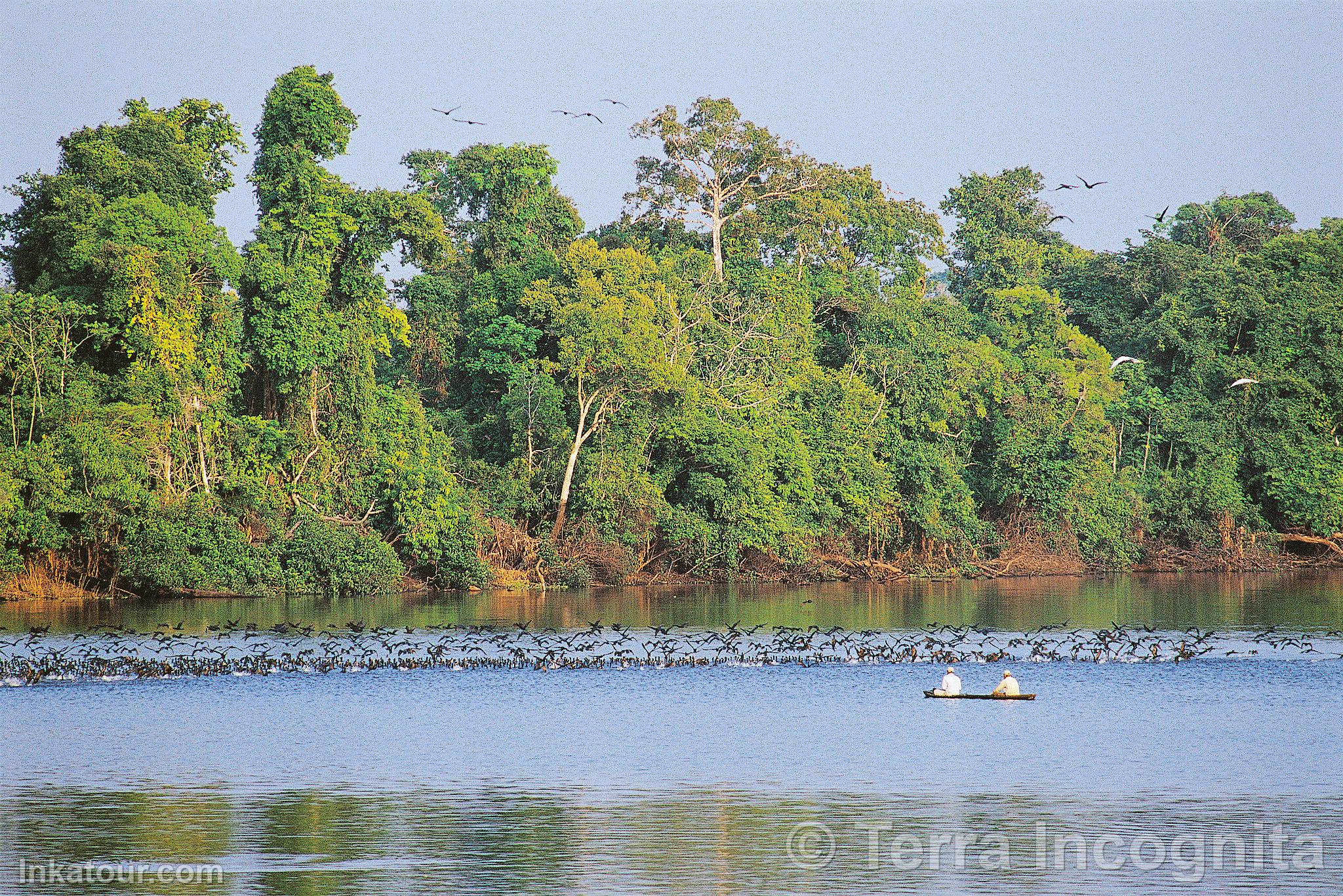 Pacaya-Samiria National Reserve