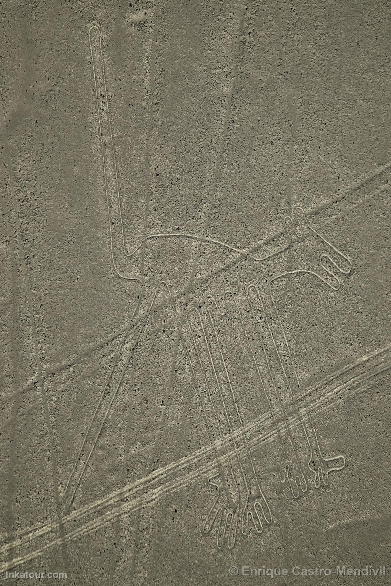 Nazca lines