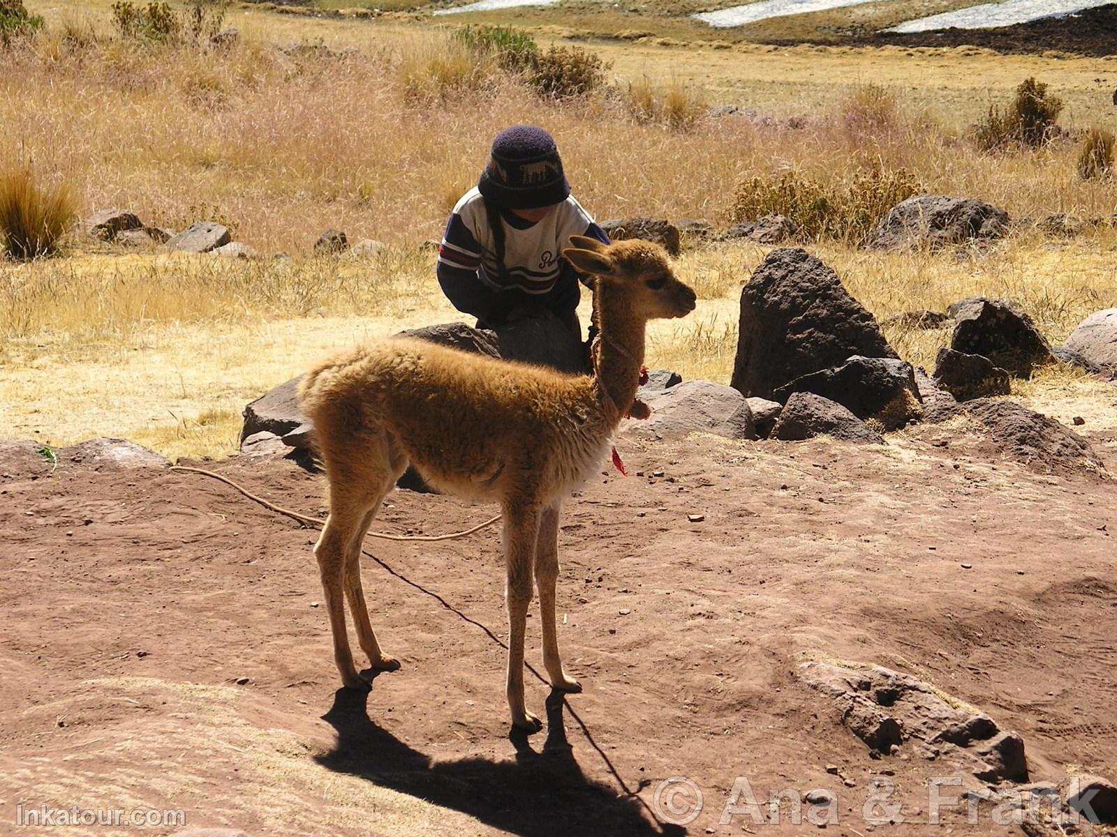 Photo of Peru