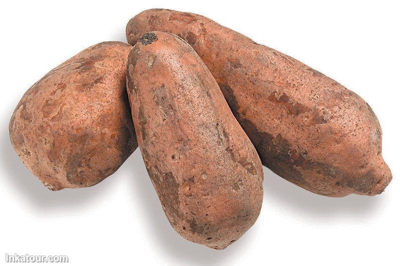 Sweet potato