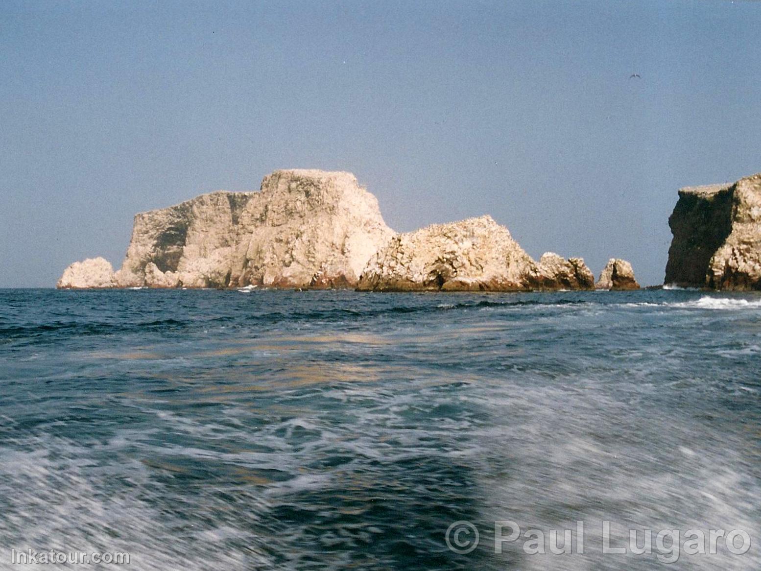 Ballestas Islands, Paracas