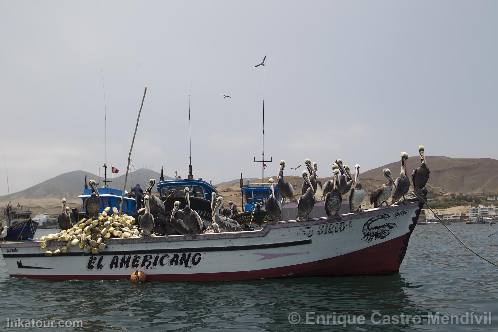 Photo of Peru