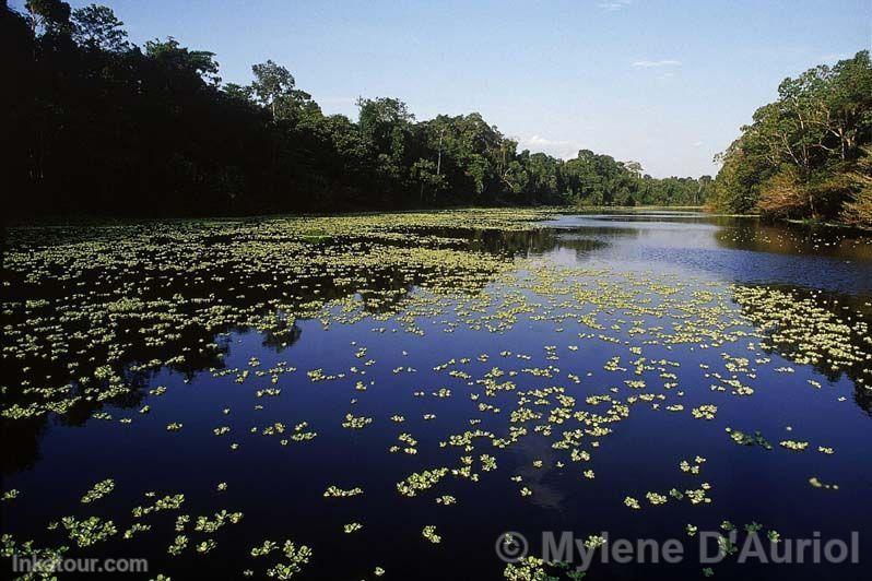 Pacaya-Samiria National Reserve