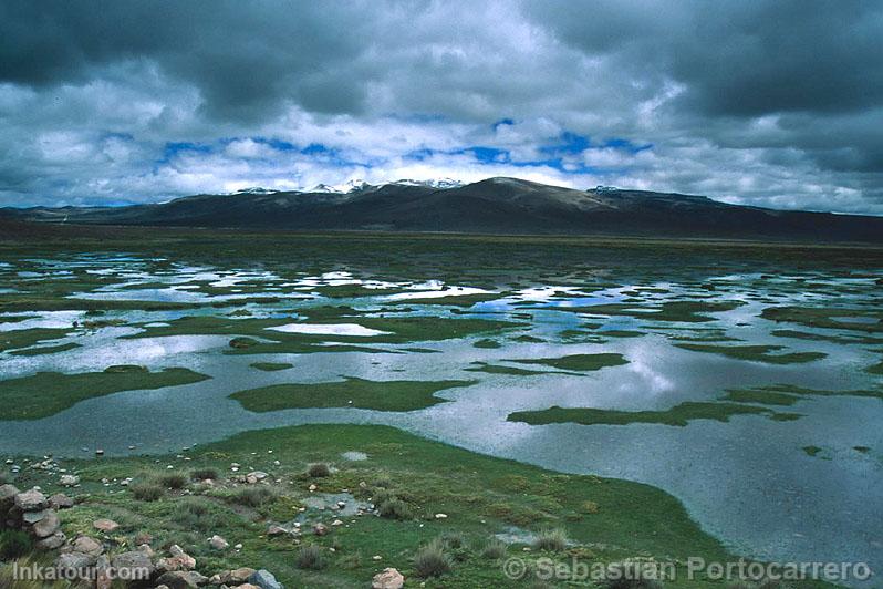 Salinas and Aguada Blanca National Reserve