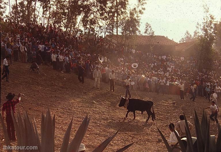 Photo of Peru