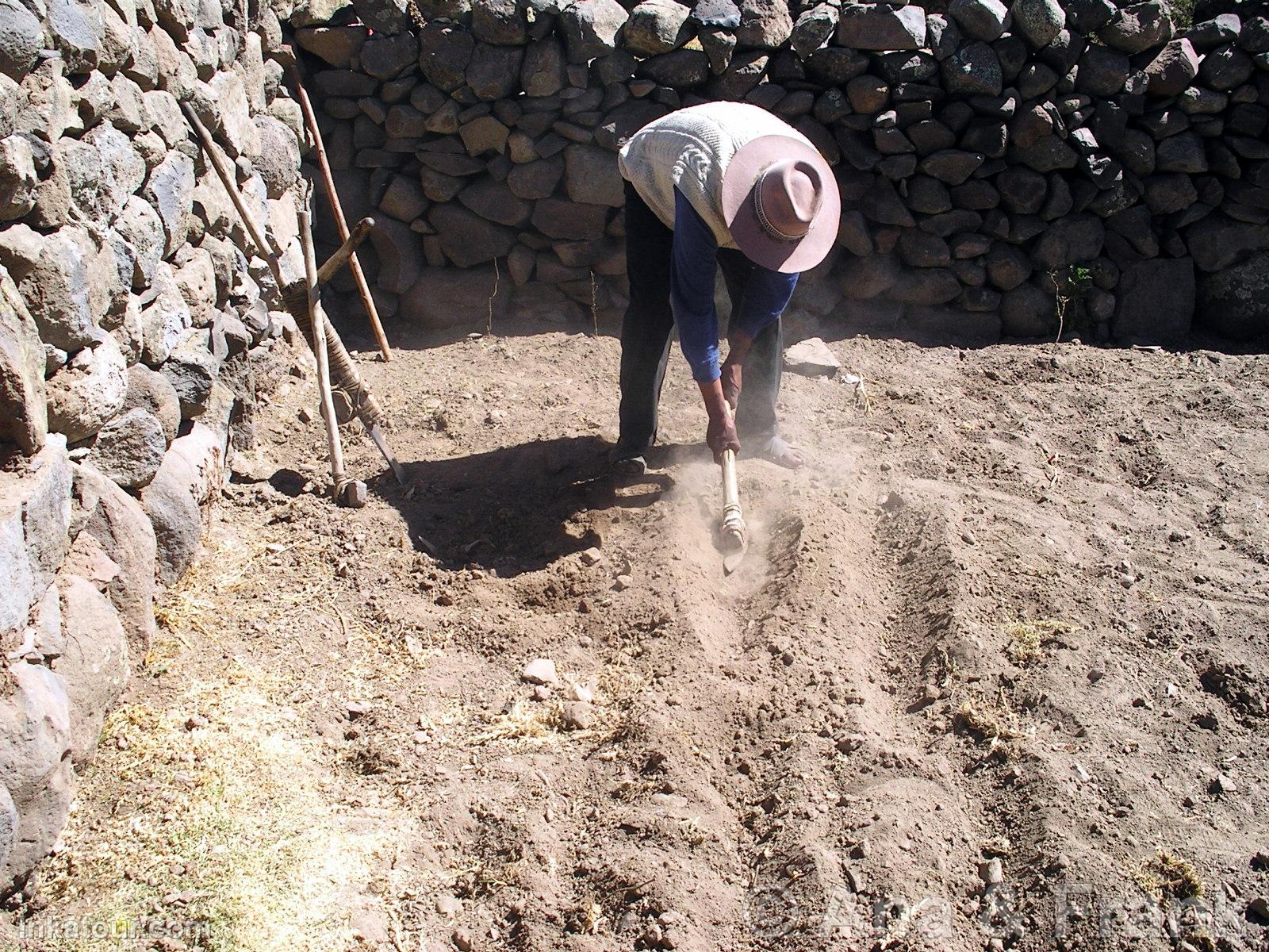 Photo of Peru