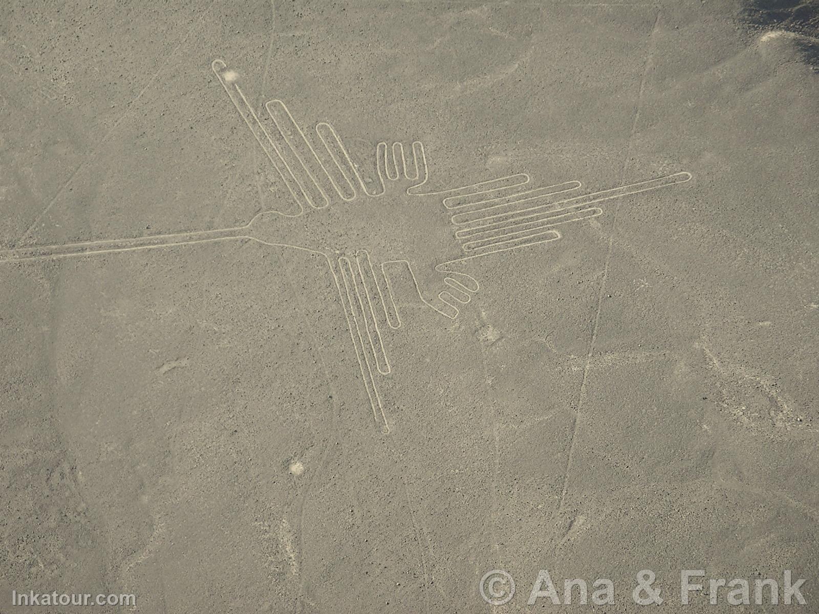 Nazca