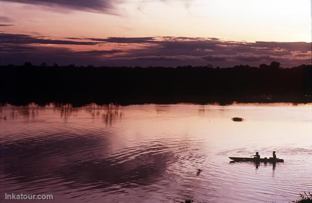 Low forest, Iquitos