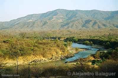 Tumbes River