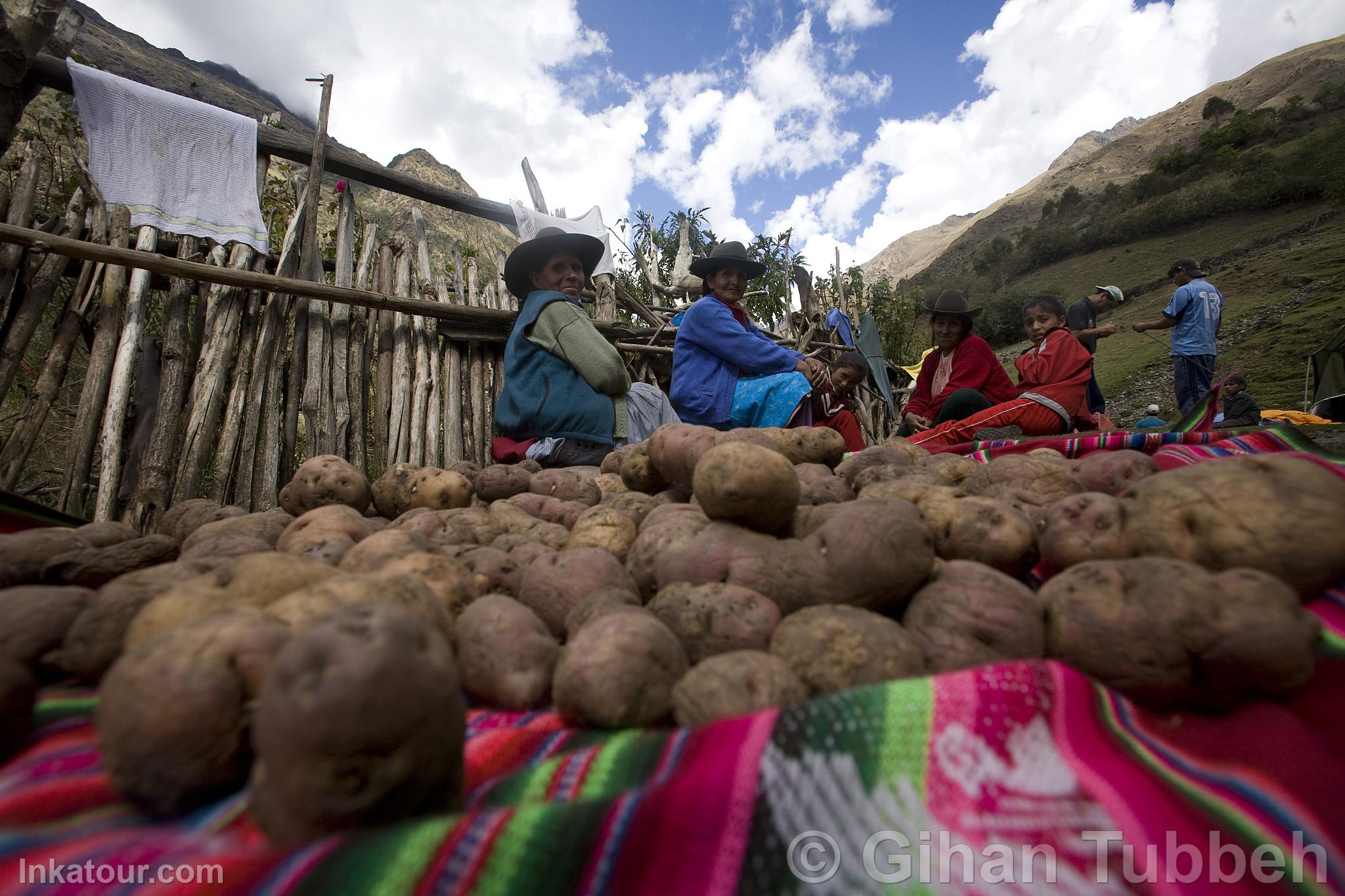 Photo of Peru