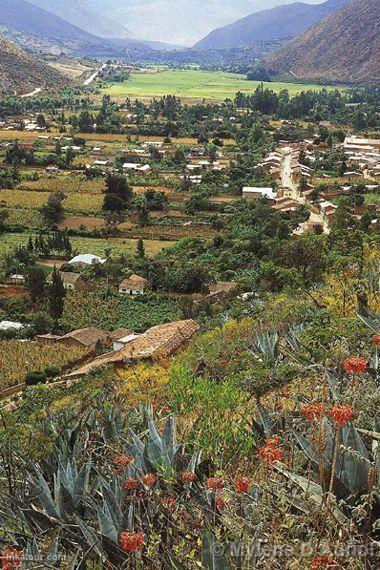 Photo of Peru