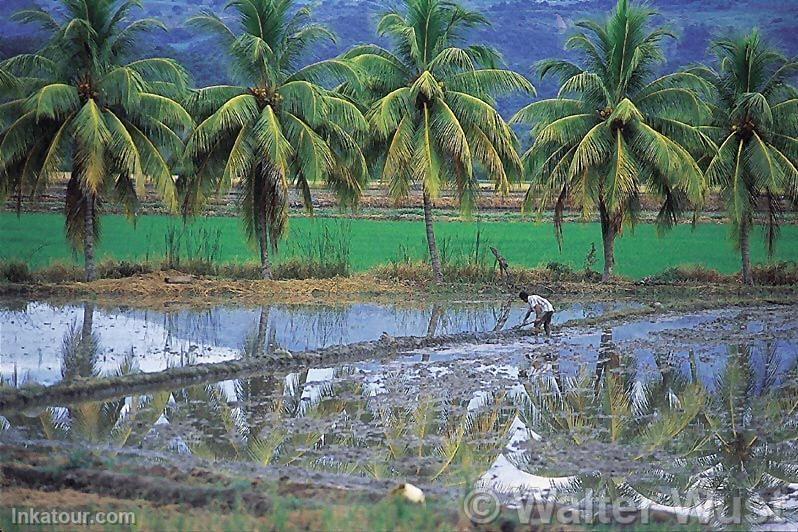 Photo of Peru