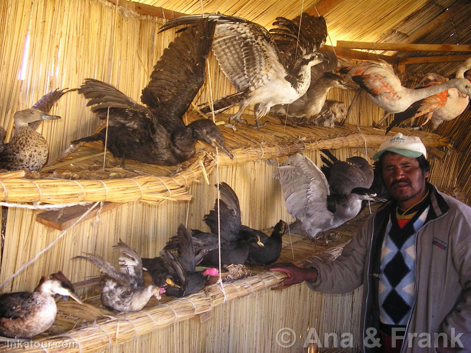 Photo of Peru