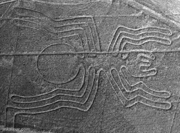 The Spider, Nazca