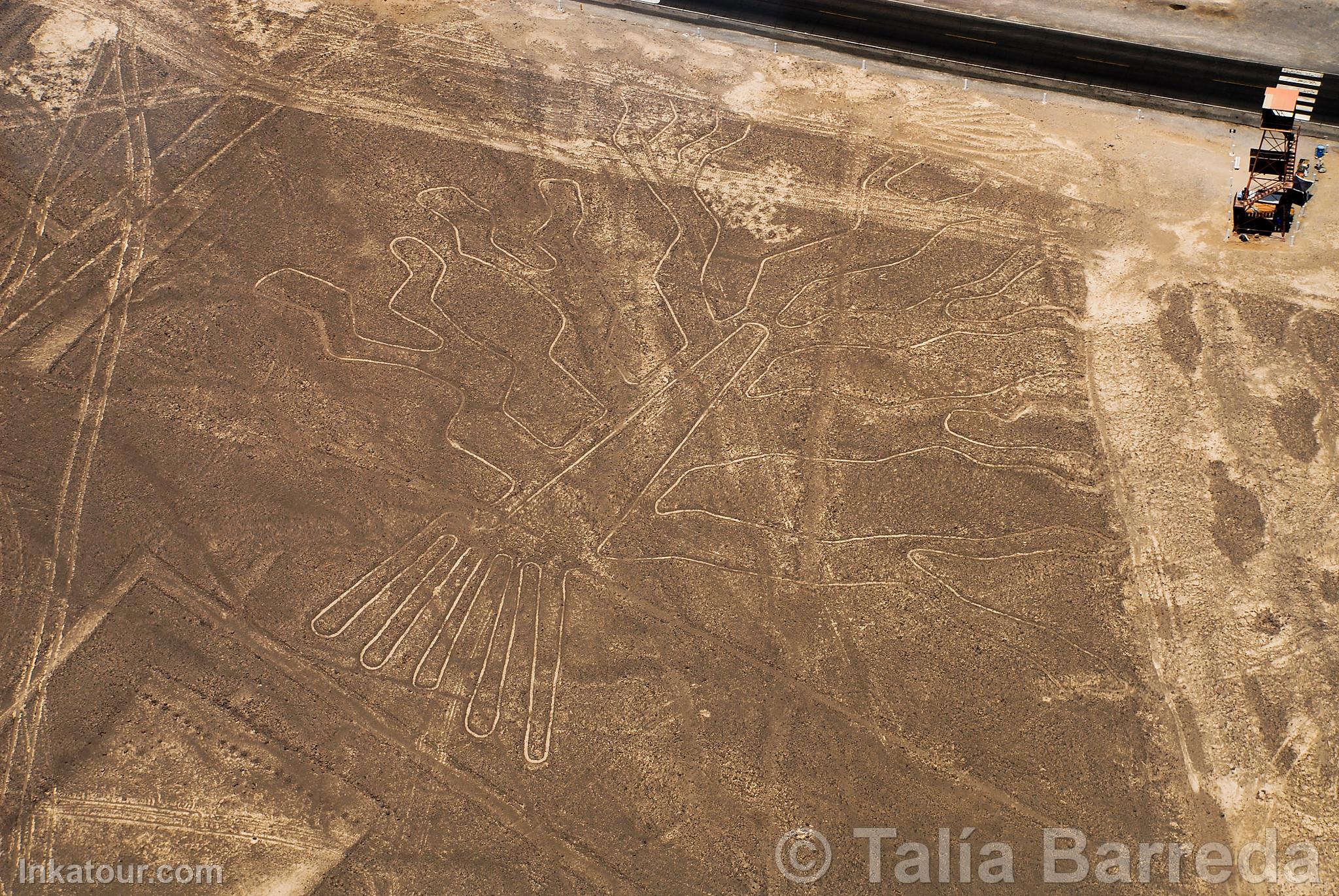 Nazca lines