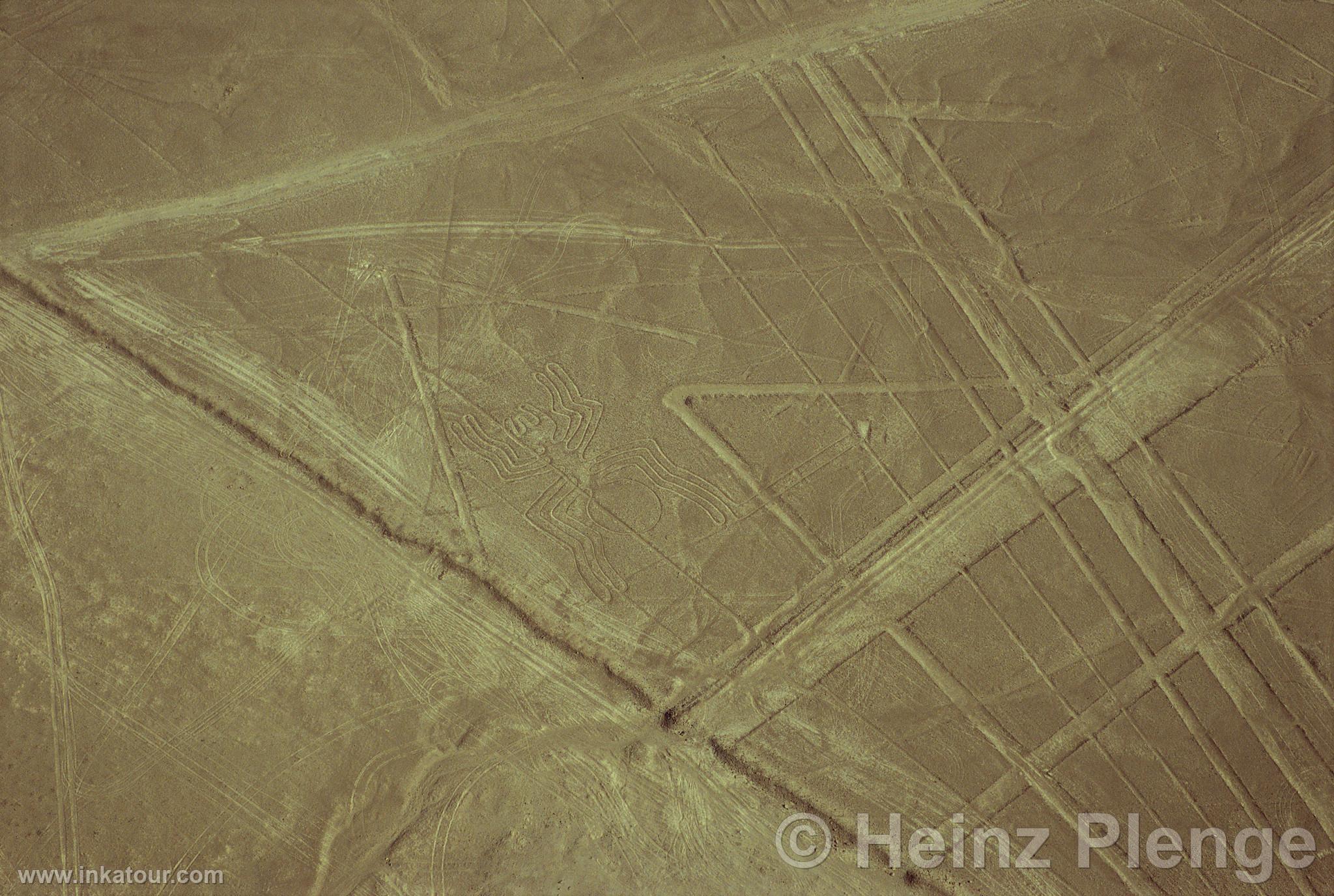 Nazca lines