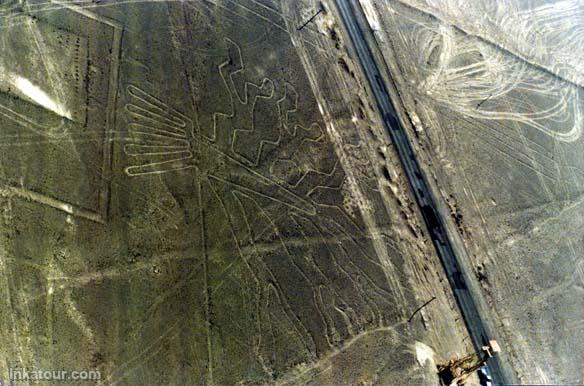 The Tree, Nazca