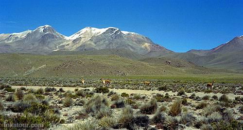 Colca