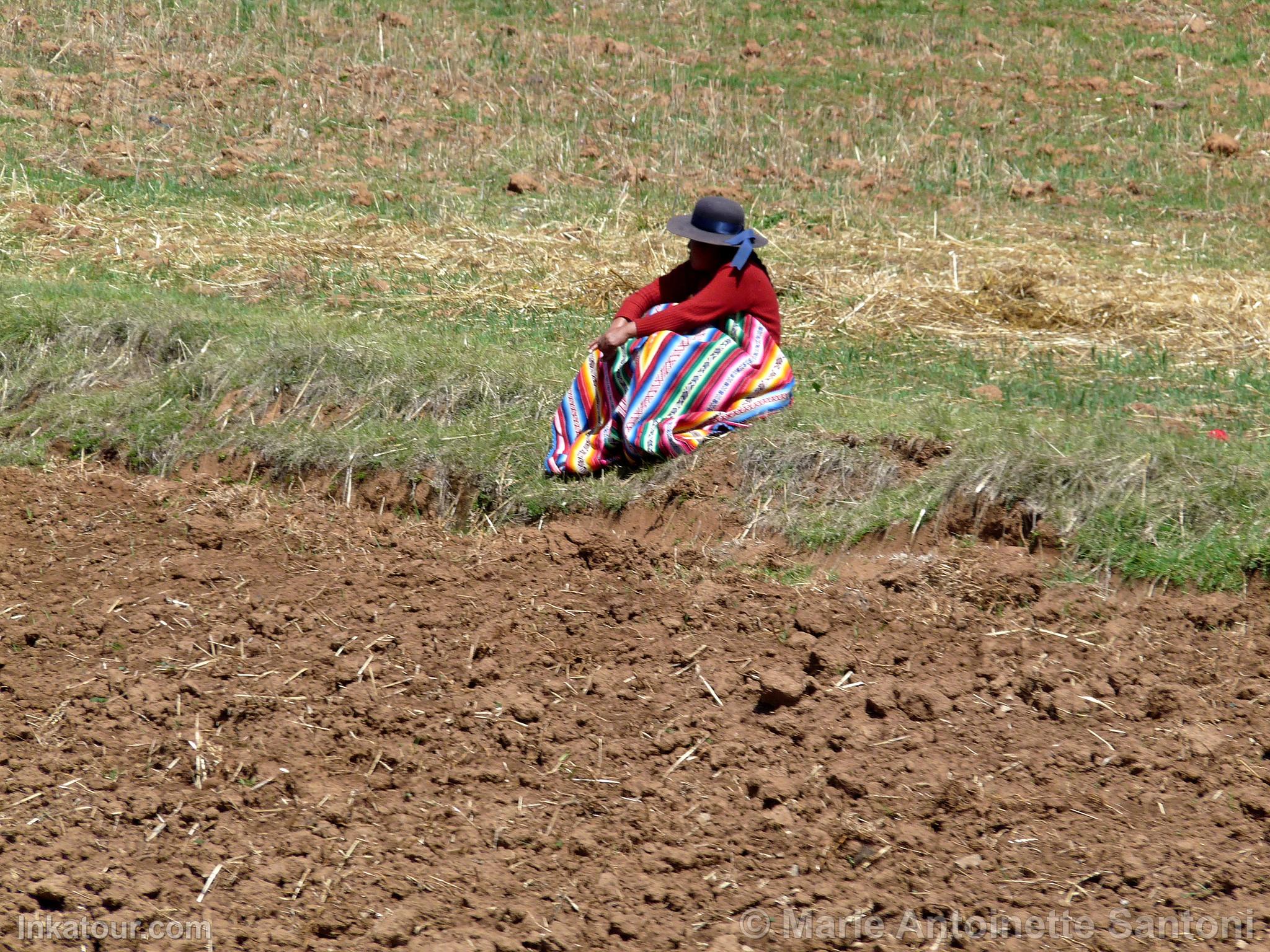 Photo of Peru