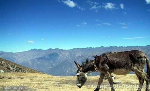 White Cordillera