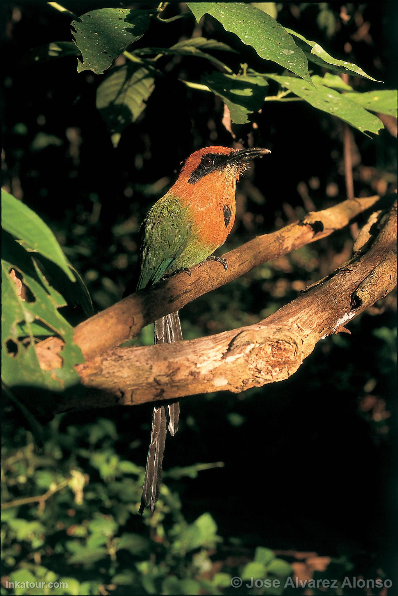 Photo of Peru