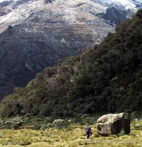 White Cordillera