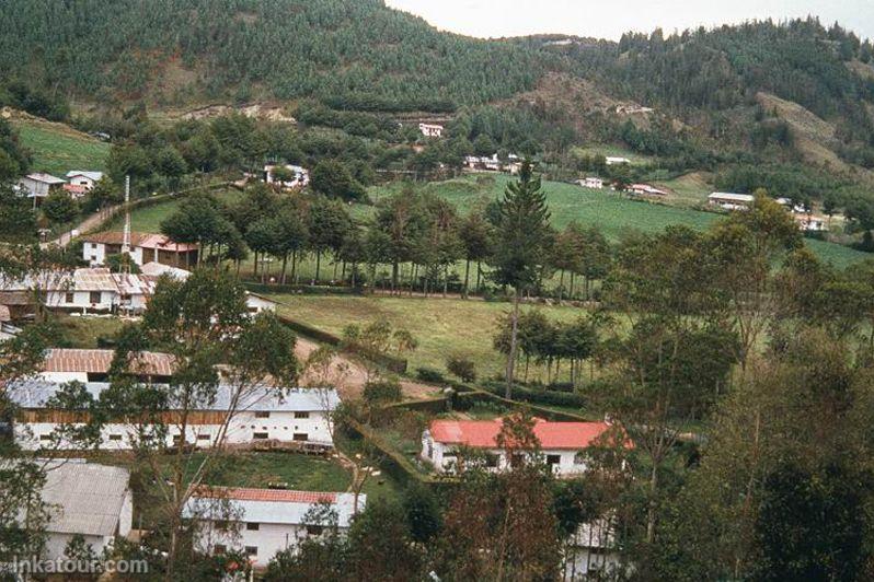 Porcn Farm, Cajamarca