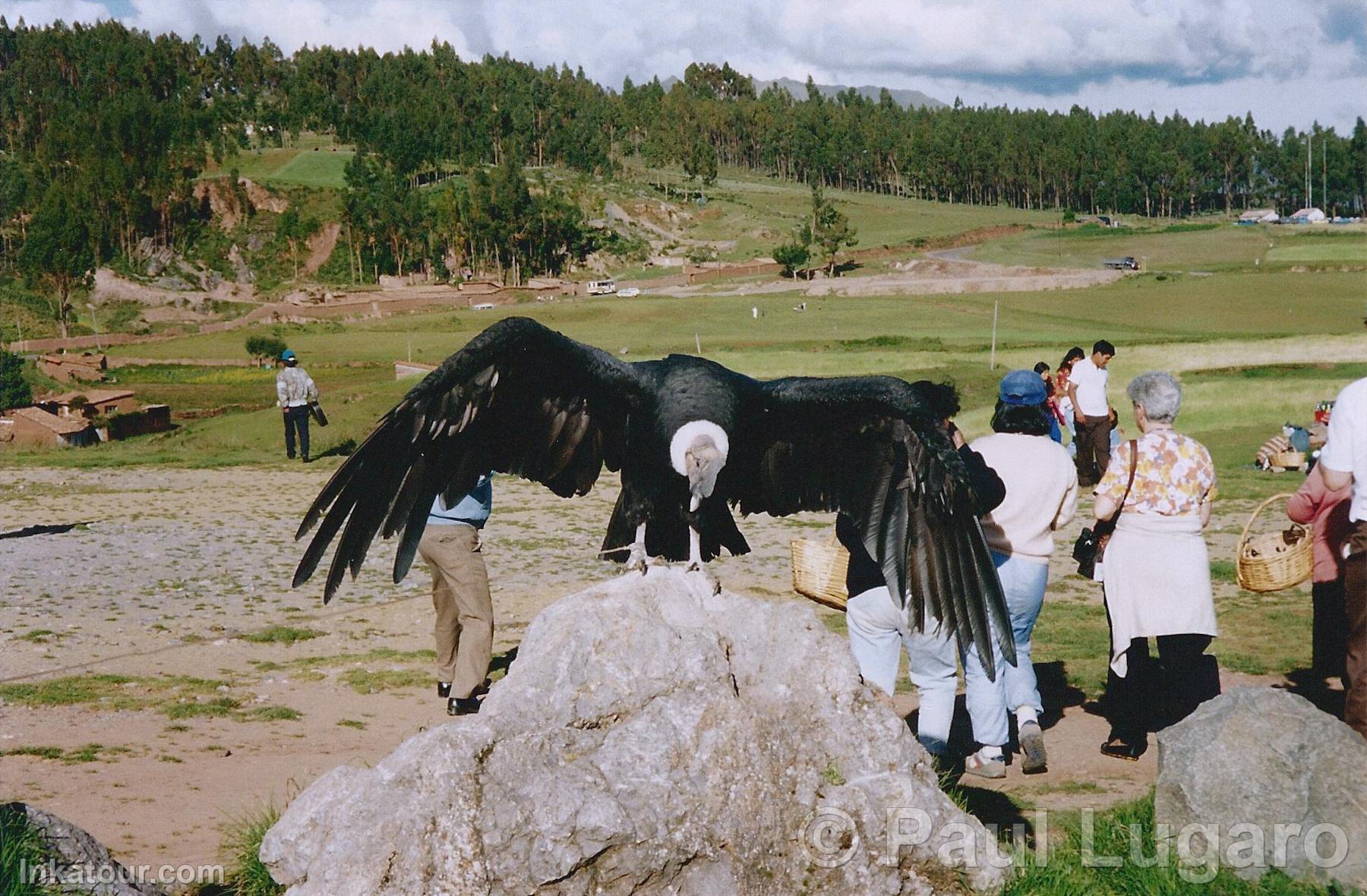 Photo of Peru