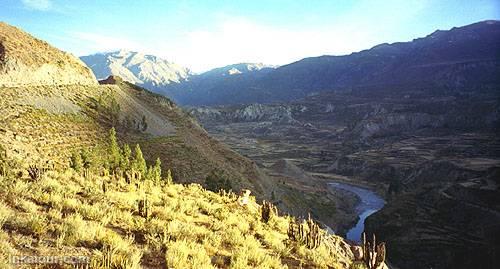 Colca