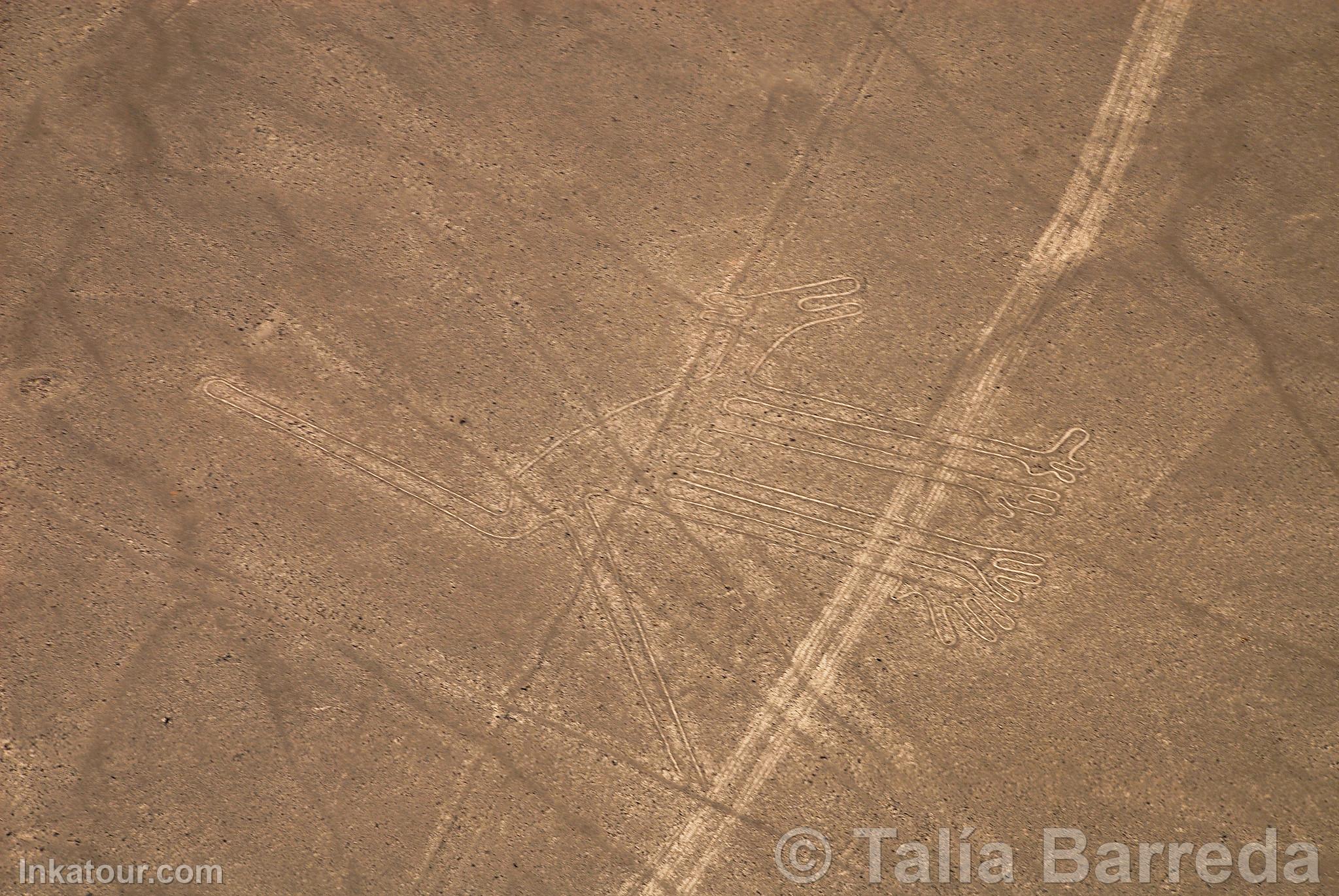 Nazca lines