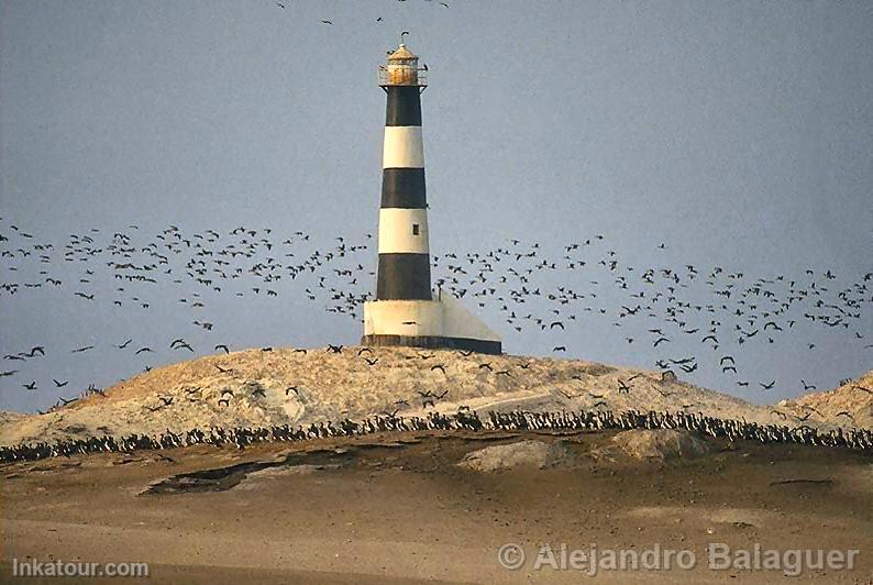 Punta Coles