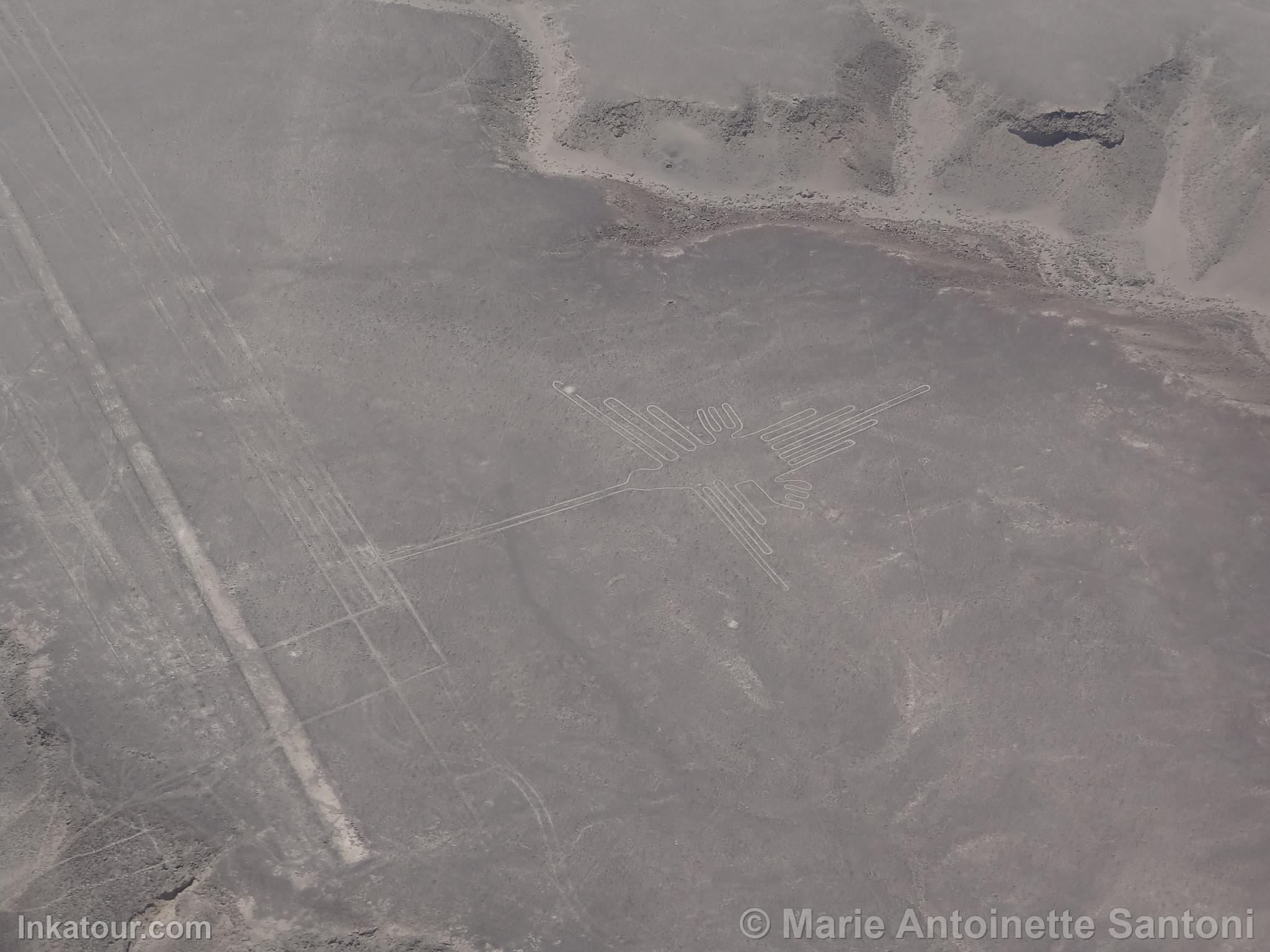 Nazca lines