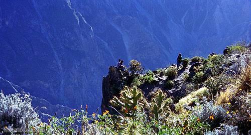 Colca