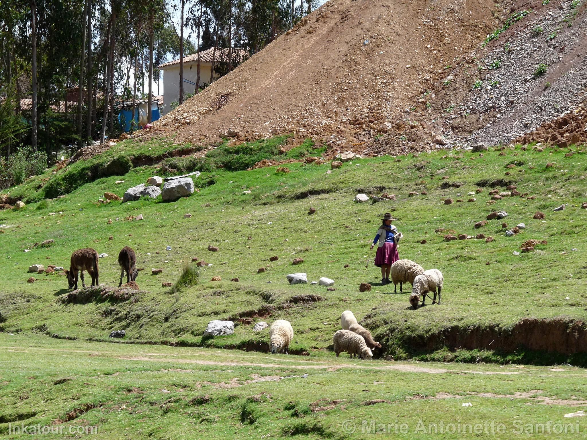 Photo of Peru