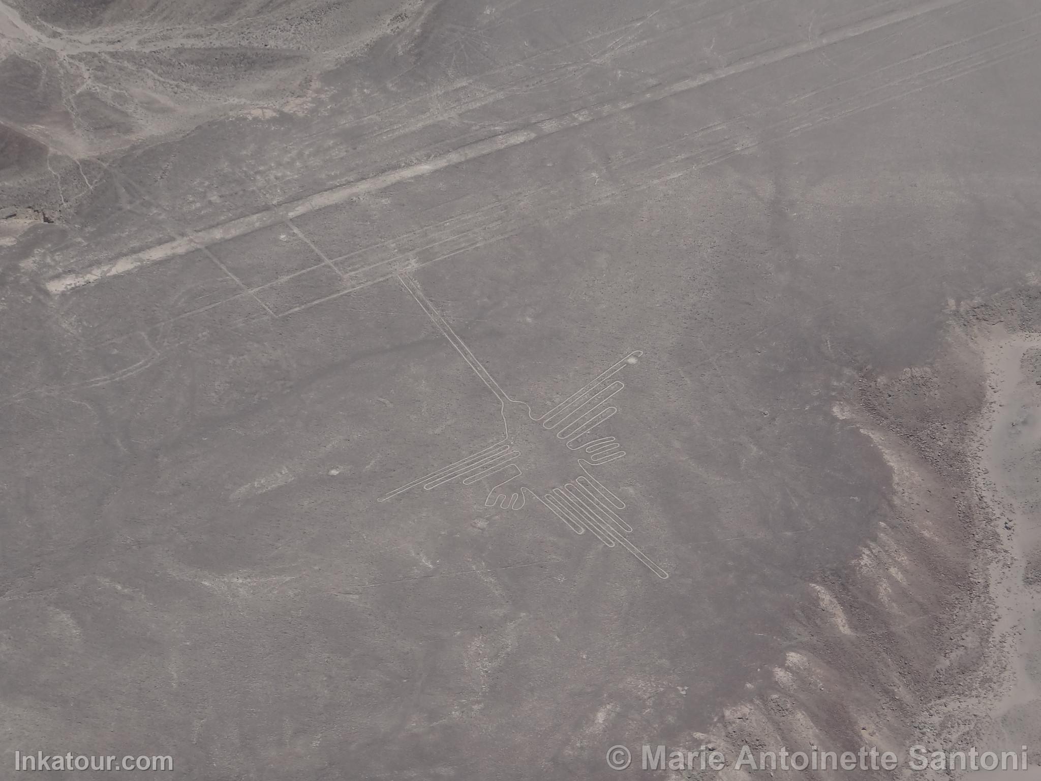 Nazca lines