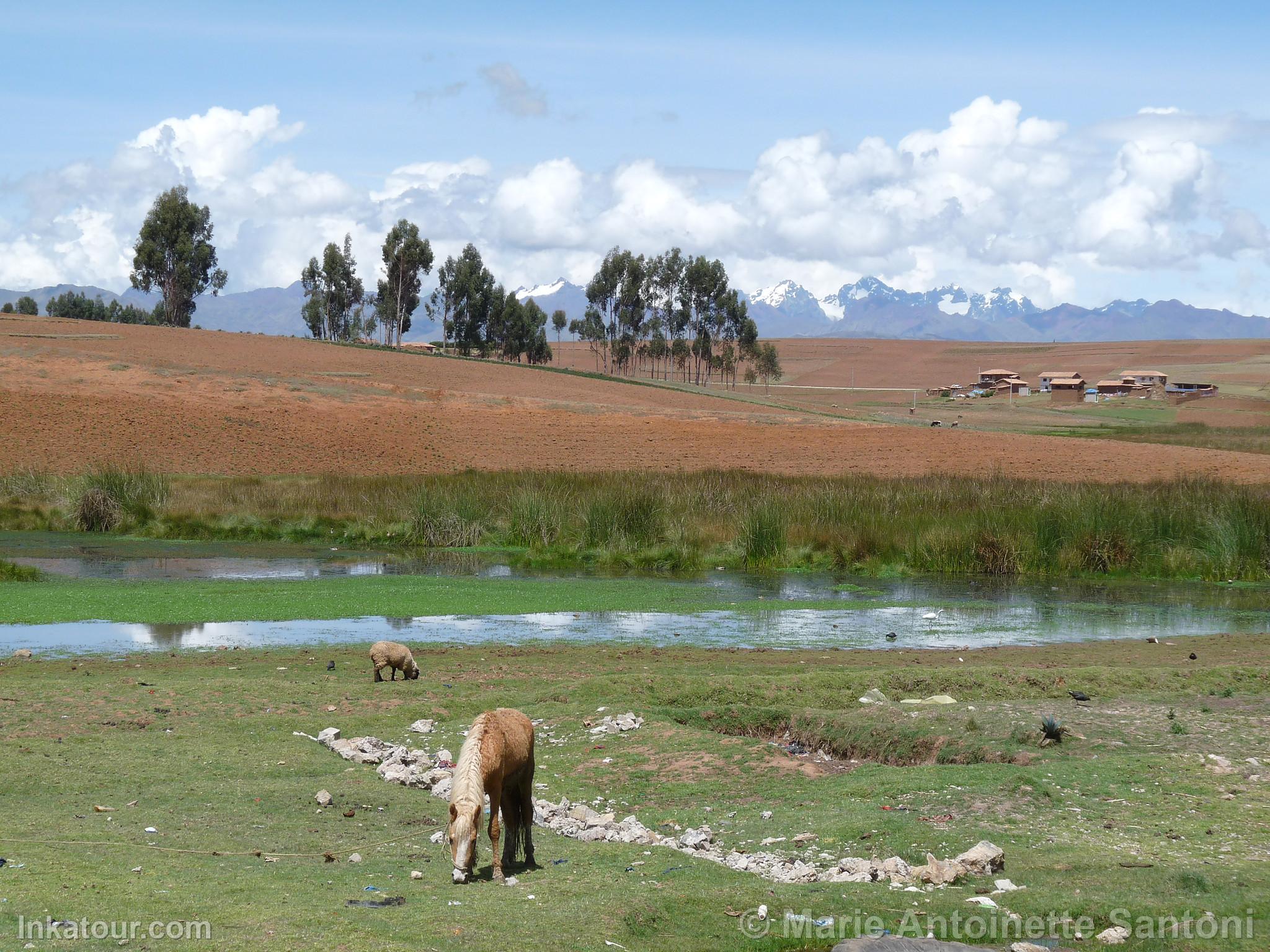 Photo of Peru