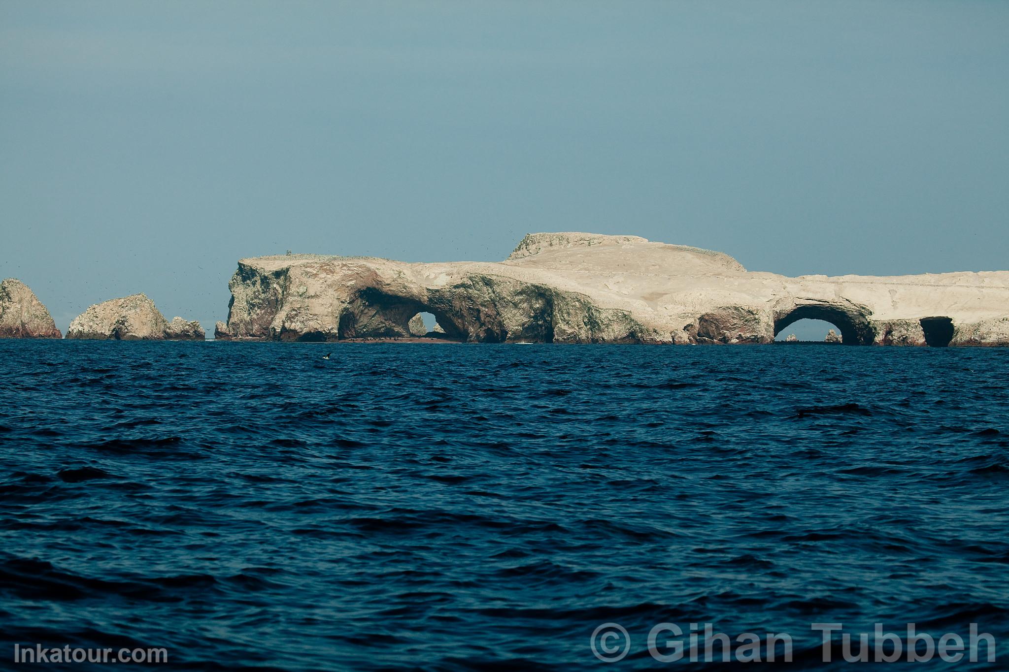 Ballestas Islands, Paracas