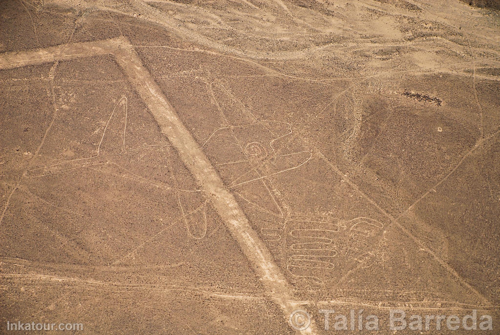 Nazca lines