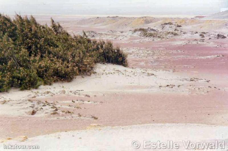 Paracas