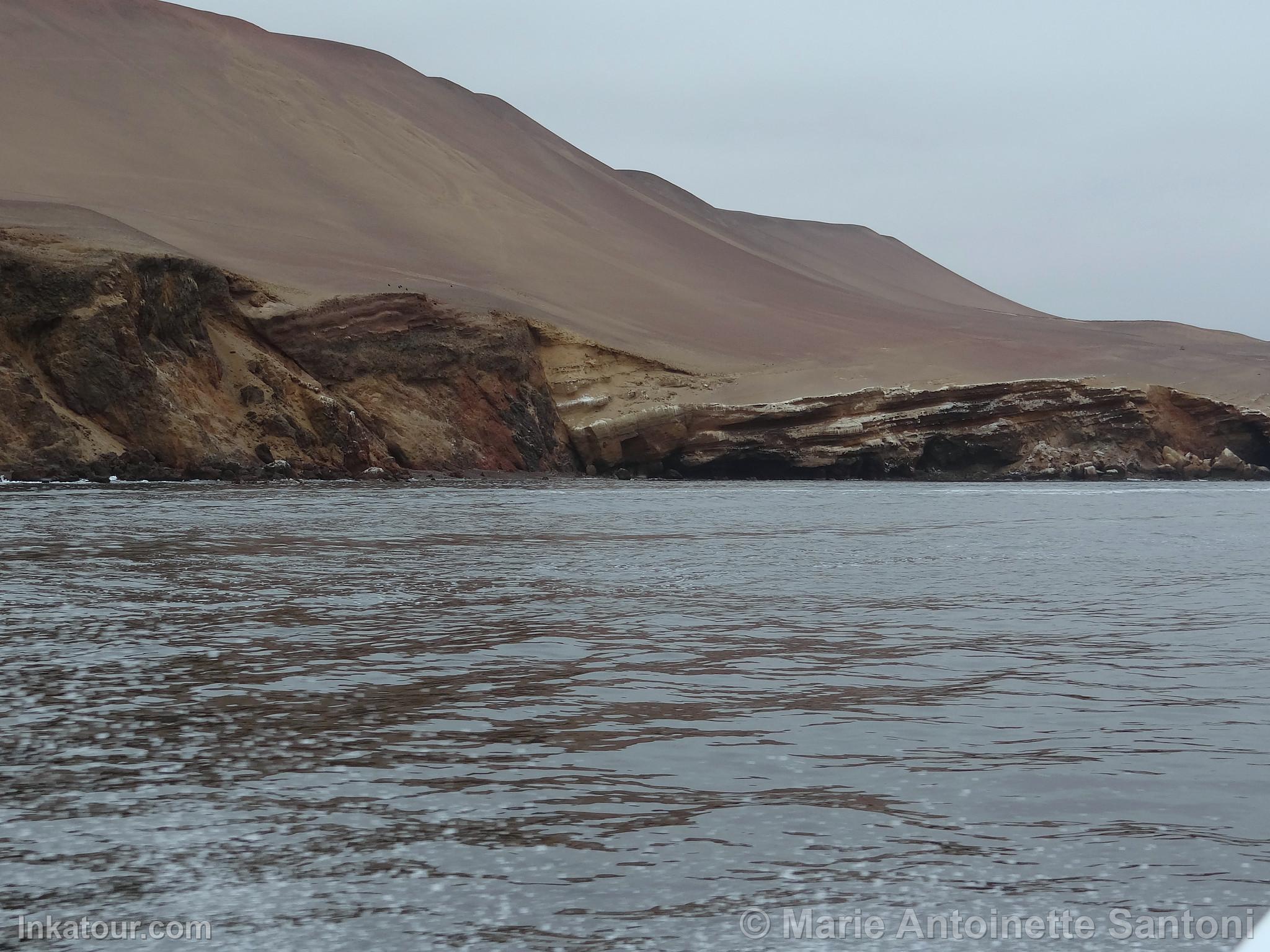 Ballestas Islands, Paracas