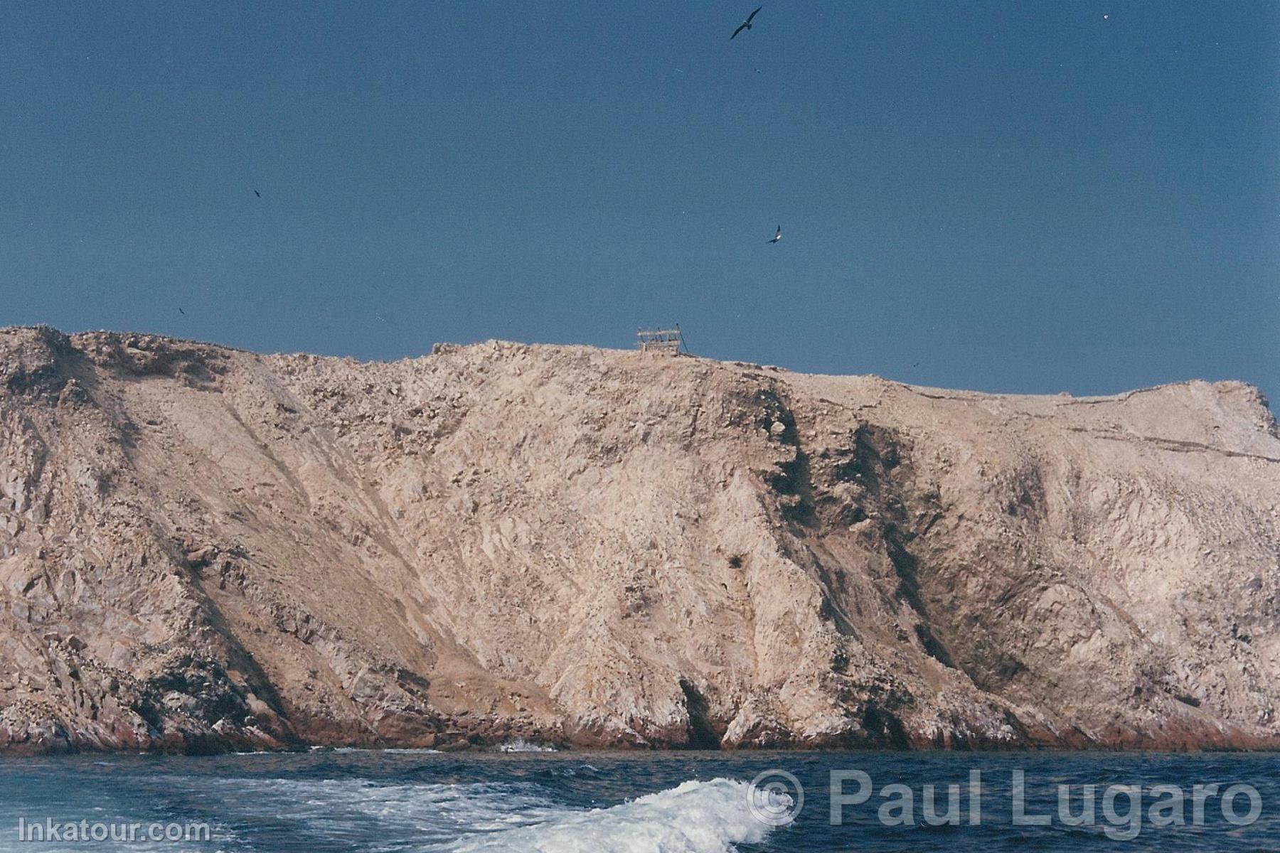 Ballestas Islands, Paracas