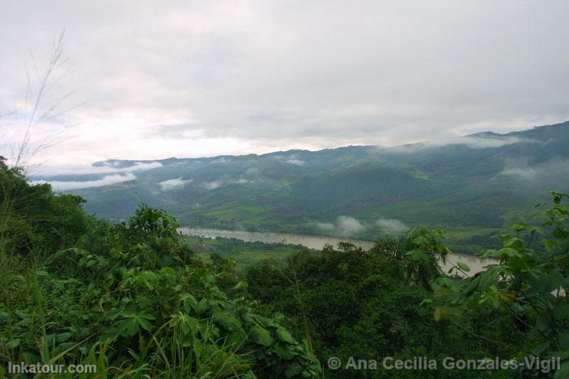 Forest of San Martn