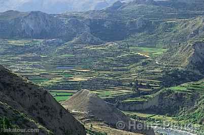 Colca Canyon