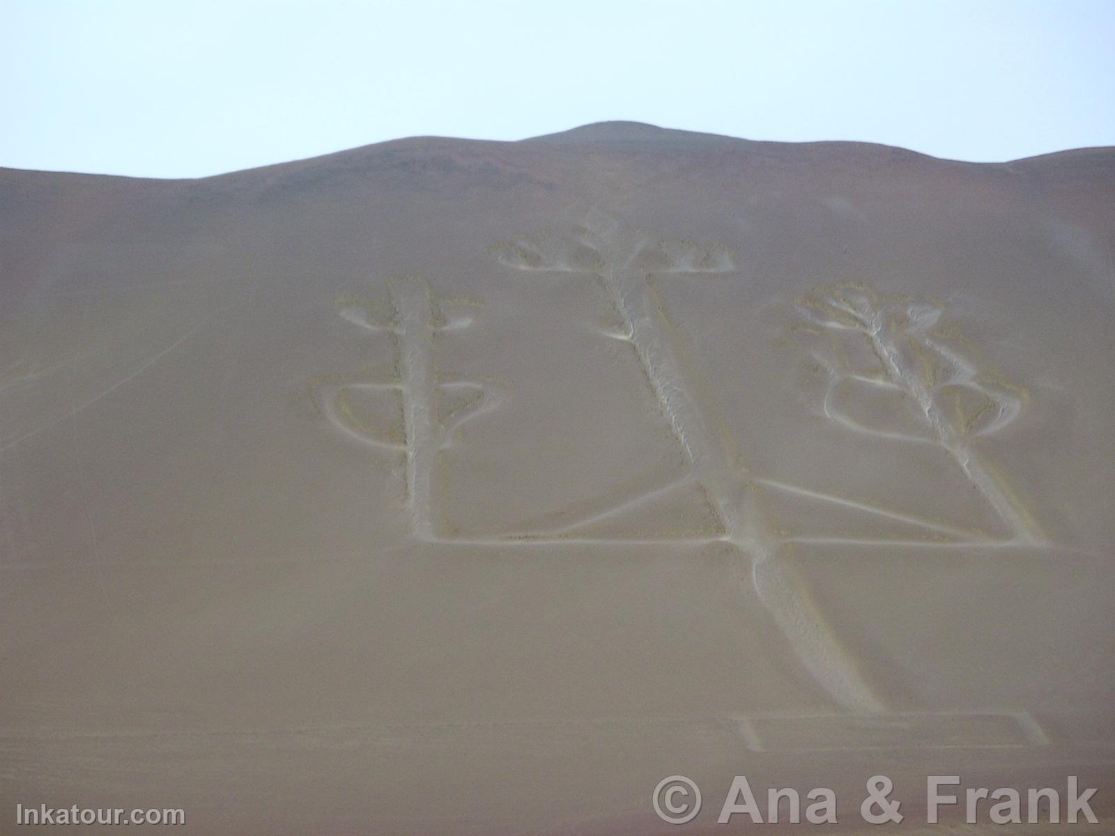 Paracas