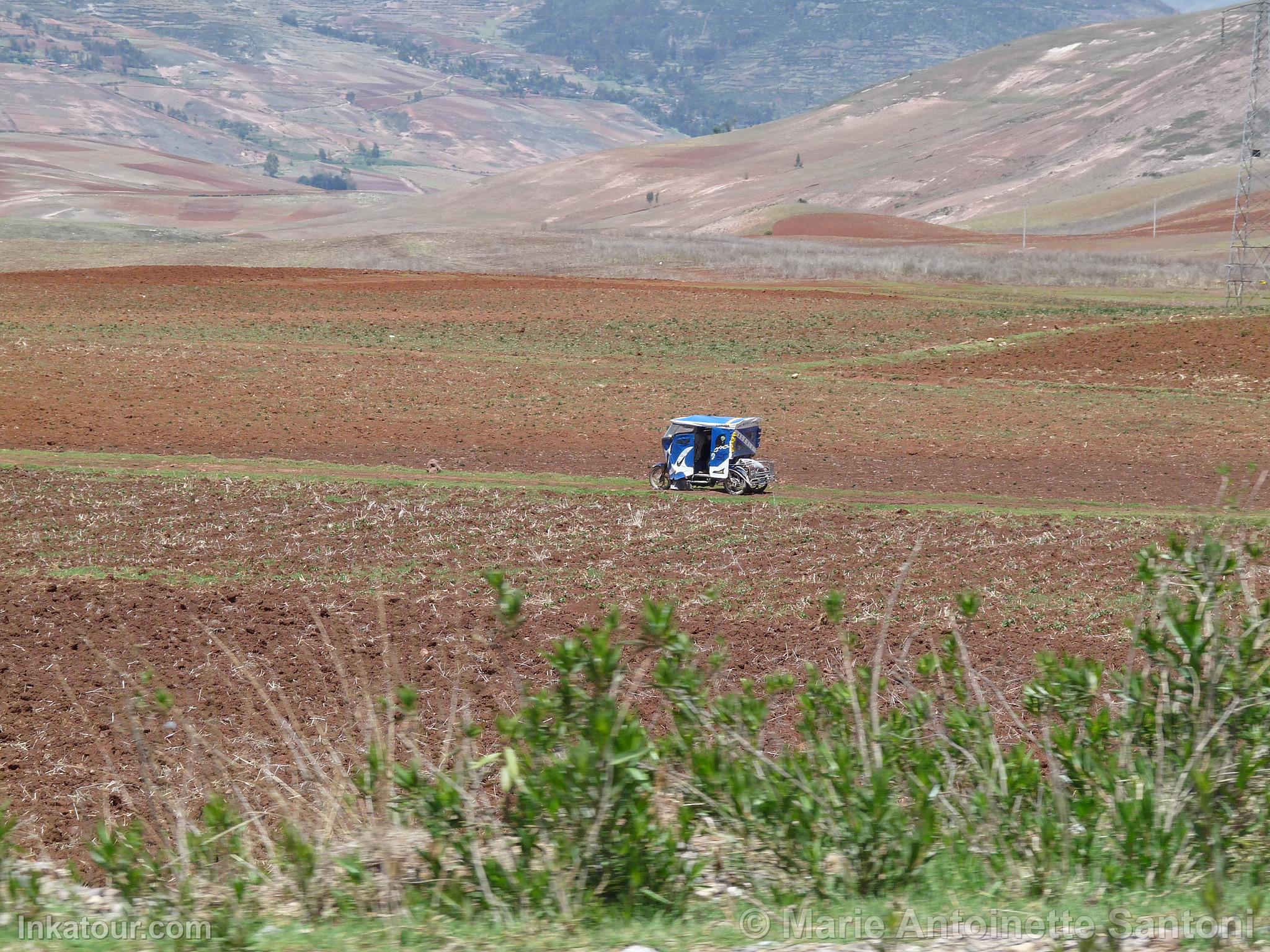 Photo of Peru