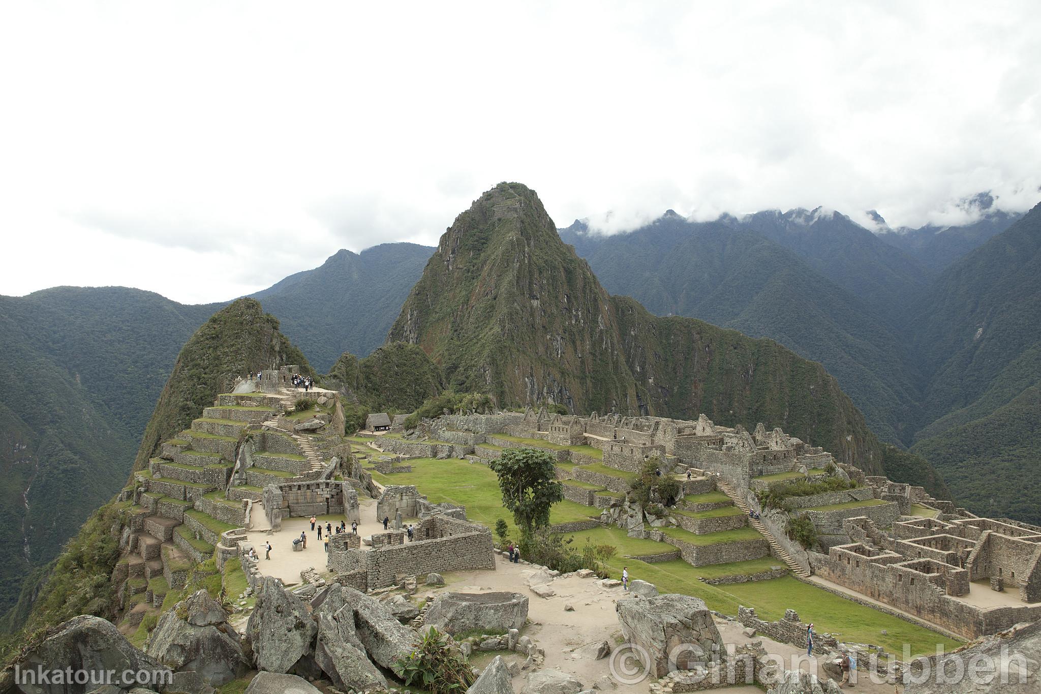 Citadel of Machu Picchu